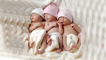 � ������ � 2016 ���� �������� 6047 �������